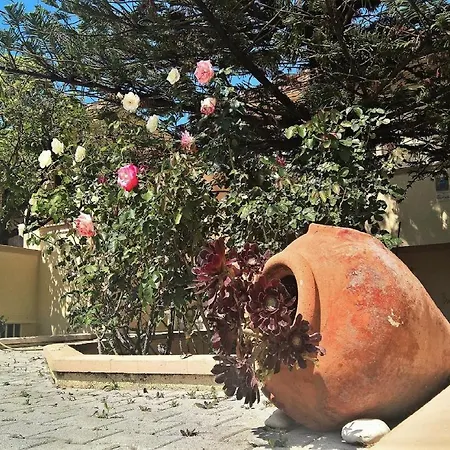 Apartmán Minas Lassi (Kefalonia)